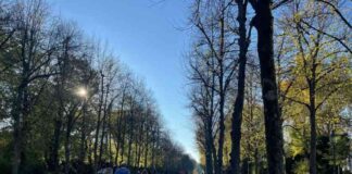 dsseldorf-beeindruckendes-foto-des-tages-unbedingt-ansehen