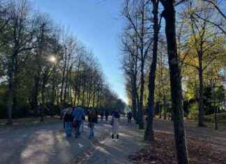 Düsseldorf: Beeindruckendes Foto des Tages – Unbedingt ansehen! dsseldorf-beeindruckendes-foto-des-tages-unbedingt-ansehen