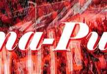 F95-Blog startet am 9. Januar 2023: Fortuna-Punkte und mehr! f95-blog-startet-am-9-januar-2023-fortuna-punkte-und-mehr
