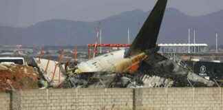 tragdie-in-sdkorea-179-tote-nach-flugzeugabsturz