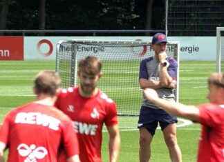 1. FC Köln Rückrunde startet | SAT.1 NRW – Infopage zur Sendung 1-fc-kln-rckrunde-startet-sat1-nrw-nfopage-zur-sendung
