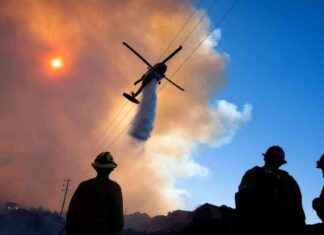 16 Tote bei Bränden in Los Angeles – Windböen sorgen für Besorgnis 16-tote-bei-brnden-in-los-angeles-windben-sorgen-fr-besorgnis