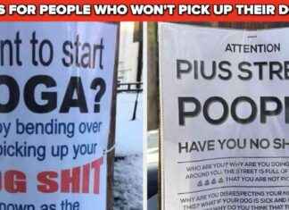 20 lustige Schilder, die Ihnen garantiert ein Lächeln ins Gesicht zaubern 20-lustige-schilder-die-hnen-garantiert-ein-lcheln-ins-gesicht-zaubern