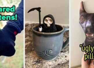 23 süße und etwas seltsame Produkte, um Ihr Valentinstagsgeschenk perfekt zu machen. 23-se-und-etwas-seltsame-produkte-um-hr-valentinstagsgeschenk-perfekt-zu-machen