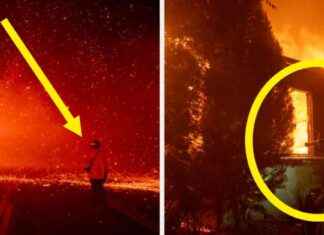 29 beeindruckende Bilder von Feuerwehrleuten in Los Angeles 29-beeindruckende-bilder-von-feuerwehrleuten-in-los-angeles