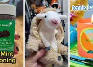 33 Seltsame Produkte, die leicht zum Licht Ihres Lebens werden könnten 33-seltsame-produkte-die-leicht-zum-licht-hres-lebens-werden-knnten