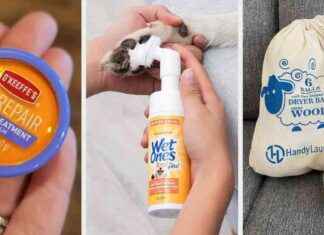 35 Problem-Lösungsprodukte, die einfach perfekt sind 35-problem-lsungsprodukte-die-einfach-perfekt-sind