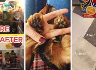 36 Problem-Lösungsprodukte, die wirklich funktionieren und Vorher-Nachher-Fotos haben 36-problem-lsungsprodukte-die-wirklich-funktionieren-und-vorher-nachher-fotos-haben