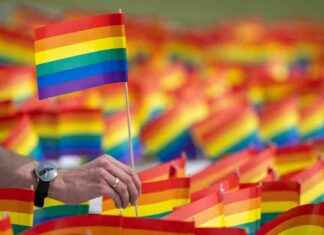 AfD-Antrag: Regenbogen in Falkensee verbieten afd-antrag-regenbogen-in-falkensee-verbieten