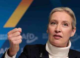 AfD-Parteitag: Fehlende Mäßigung und Kontroverse afd-parteitag-fehlende-migung-und-kontroverse