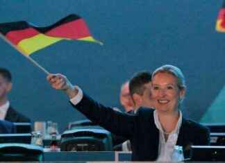 AfD-Parteitag: Verdrängung und Kniefall vor Höcke – Analyse und Hintergründe afd-parteitag-verdrngung-und-kniefall-vor-hcke-analyse-und-hintergrnde