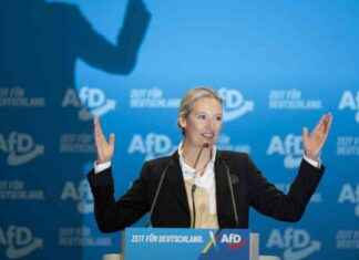 AfD: Provokation mit rechten Parolen und Regierungsanspruch afd-provokation-mit-rechten-parolen-und-regierungsanspruch