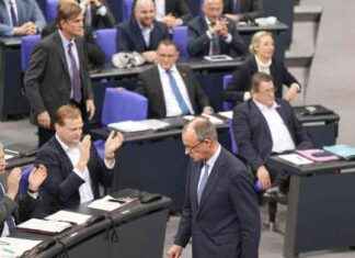 AfD sichert Merz Mehrheit für kontroversen Asylplan afd-sichert-merz-mehrheit-fr-kontroversen-asylplan