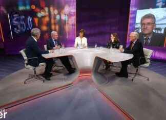 Alice Weidel: Elon Musk betrachtet sie als nützliche Idiotin alice-weidel-elon-musk-betrachtet-sie-als-ntzliche-diotin