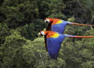 Allgemeinwissen Quiz: 10 Fragen, die jeder beantworten sollte allgemeinwissen-quiz-10-fragen-die-jeder-beantworten-sollte