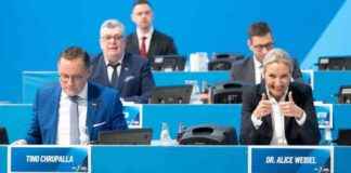 alternative-fr-deutschland-afd-whlt-weidel-einstimmig-als-kanzlerkandidatin