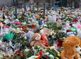 Anschlag auf Weihnachtsmarkt: Magdeburg-Täter und AfD-Jugend im Fokus anschlag-auf-weihnachtsmarkt-magdeburg-tter-und-afd-jugend-im-fokus