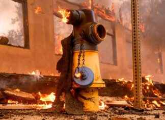 Auswirkungen der Waldbrände auf die Wasserversorgung in Kalifornien auswirkungen-der-waldbrnde-auf-die-wasserversorgung-in-kalifornien