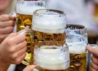 Bayrische Traditionsmarke plant Einführung von alkoholfreiem Getränk in 2025 bayrische-traditionsmarke-plant-einfhrung-von-alkoholfreiem-getrnk-in-2025