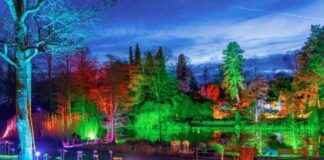 beliebte-lichterfeste-in-nordrhein-westfalen-parkleuchten-im-grugapark-wunderland-kalkar