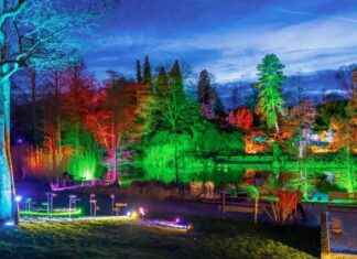 Beliebte Lichterfeste in Nordrhein-Westfalen: Parkleuchten im Grugapark, Wunderland Kalkar… beliebte-lichterfeste-in-nordrhein-westfalen-parkleuchten-im-grugapark-wunderland-kalkar