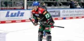 berlebenskampf-der-panther-in-der-liga