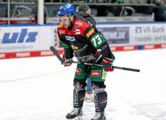 Überlebenskampf der Panther in der Liga berlebenskampf-der-panther-in-der-liga