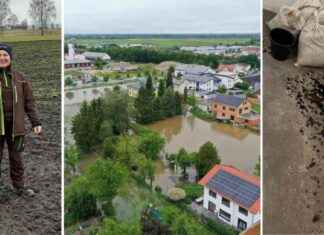 Betroffene kämpfen weiterhin mit den Folgen der Flut betroffene-kmpfen-weiterhin-mit-den-folgen-der-flut
