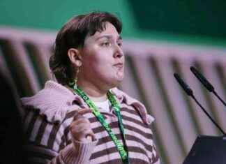 Bezirkschefin der Grünen tritt wegen erfundener Belästigungsvorwürfe zurück bezirkschefin-der-grnen-tritt-wegen-erfundener-belstigungsvorwrfe-zurck