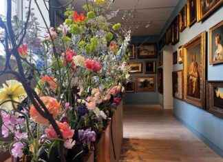 Blumenpracht in Düsseldorf: Das erwartet Sie beim Palastblühen 2025 blumenpracht-in-dsseldorf-das-erwartet-sie-beim-palastblhen-2025