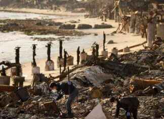 Brandhilfe für LA-Waldbrandhilfe: So können Sie zuschauen und spenden brandhilfe-fr-la-waldbrandhilfe-so-knnen-sie-zuschauen-und-spenden