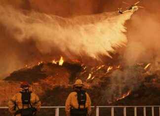 Brandkatastrophe in Kalifornien: 16 Tote und zahlreiche Verluste brandkatastrophe-in-kalifornien-16-tote-und-zahlreiche-verluste