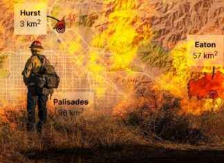 Brände in Los Angeles: Kartenübersicht und Analyse brnde-in-los-angeles-kartenbersicht-und-analyse