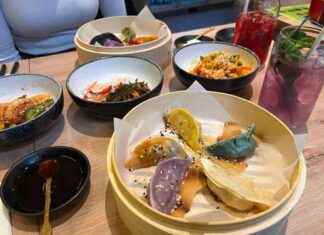 Bunte Gyoza: Neue kulinarische Sensation in Düsseldorf! bunte-gyoza-neue-kulinarische-sensation-in-dsseldorf
