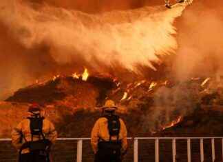 COVID-19: Todesopfer in L.A. steigt auf 25 – Schutzmaskenverteilung covd-19-todesopfer-in-la-steigt-auf-25-schutzmaskenverteilung