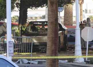 Cybertruck explodiert vor Trump-Hotel in Las Vegas: Ermittler untersuchen Unfall mit Benzinkanistern cybertruck-explodiert-vor-trump-hotel-in-las-vegas-ermittler-untersuchen-unfall-mit-benzinkanistern