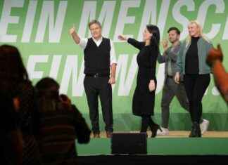 Das Dilemma der Grünen: Klimaschutz und Roberts Herausforderung das-dilemma-der-grnen-klimaschutz-und-roberts-herausforderung