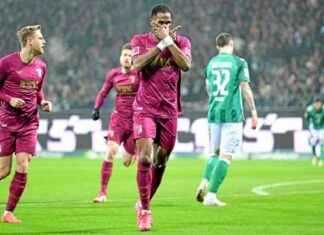 Der Wolf in Bremen: Angriffe und Maßnahmen, die du wissen musst der-wolf-in-bremen-angriffe-und-manahmen-die-du-wissen-musst