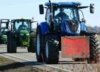 Die Auswirkungen der Bauernproteste: Ein Jahr später die-auswirkungen-der-bauernproteste-ein-jahr-spter