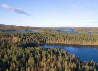 Die schönsten Wälder in Europa: Märchenhafte Landschaften und majestätische Berge die-schnsten-wlder-in-europa-mrchenhafte-landschaften-und-majesttische-berge