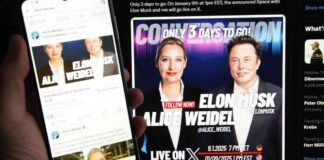 die-top-5-lgen-im-gesprch-zwischen-elon-musk-und-alice-weidel