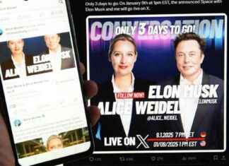 Die Top 5 Lügen im Gespräch zwischen Elon Musk und Alice Weidel die-top-5-lgen-im-gesprch-zwischen-elon-musk-und-alice-weidel