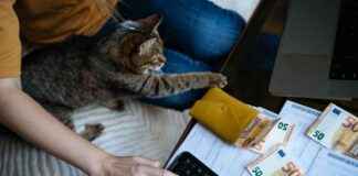 Die Top-Verdienstmöglichkeiten in Deutschland im Jahr 2025 die-top-verdienstmglichkeiten-in-deutschland-im-jahr-2025