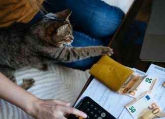 Die Top-Verdienstmöglichkeiten in Deutschland im Jahr 2025 die-top-verdienstmglichkeiten-in-deutschland-im-jahr-2025