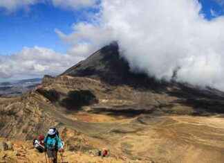Digitale Nomaden: Neuseeland ermöglicht Fernarbeit für Touristen digitale-nomaden-neuseeland-ermglicht-fernarbeit-fr-touristen