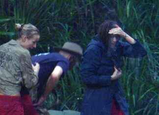 Dschungelcamp Tag 2: Gossip und private Details enthüllt dschungelcamp-tag-2-gossip-und-private-details-enthllt