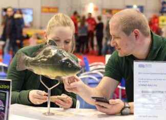 Düsseldorfer Aquazoo auf der boot 2025: Das erwartet euch am…
Neuer Titel: Aquazoo Düsseldorf auf der boot 2025: Highlights und Attraktionen dsseldorfer-aquazoo-auf-der-boot-2025-das-erwartet-euch-am-neuer-titel-aquazoo-dsseldorf-auf-der-boot-2025-highlights-und-attraktionen