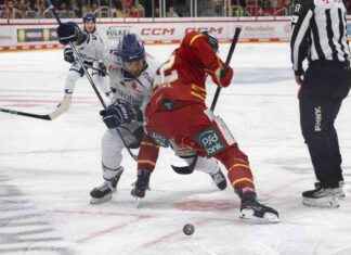 Eishockey: DEG erkämpft Unentschieden gegen Straubing Tigers – Düsseldorf Nachrichten eishockey-deg-erkmpft-unentschieden-gegen-straubing-tigers-dsseldorf-nachrichten