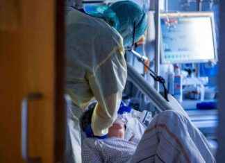 Elektronische Patientenakte: Warnung vor Widerspruch von Intensivmedizinern elektronische-patientenakte-warnung-vor-widerspruch-von-ntensivmedizinern