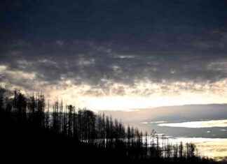 Endlich warmes Wetter in NRW: Frost und Kälte verschwinden endlich-warmes-wetter-in-nrw-frost-und-klte-verschwinden